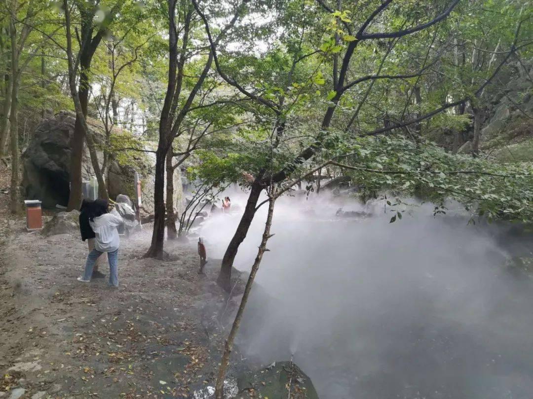 粉丝为杨紫新剧开卷！豪言热度破2万跳女团舞，能否兑现承诺？